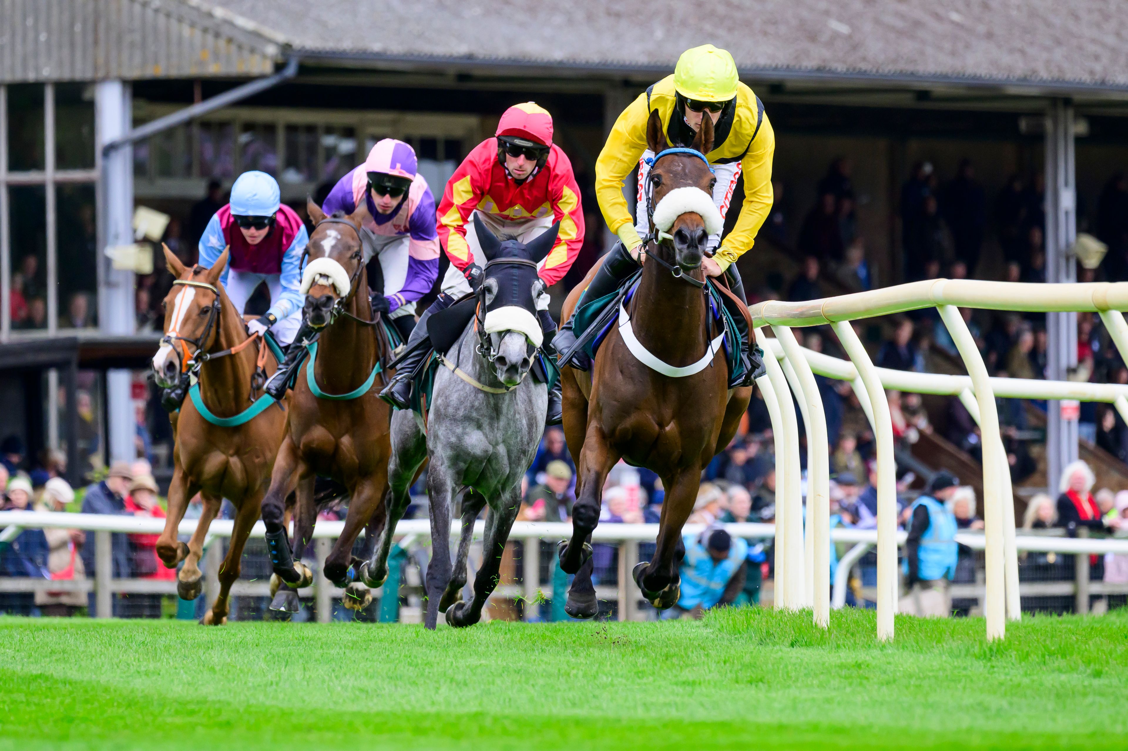 Norfolk National Raceday